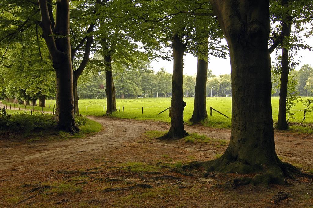 ホテル Landgoed Ehzerwold アルメン エクステリア 写真